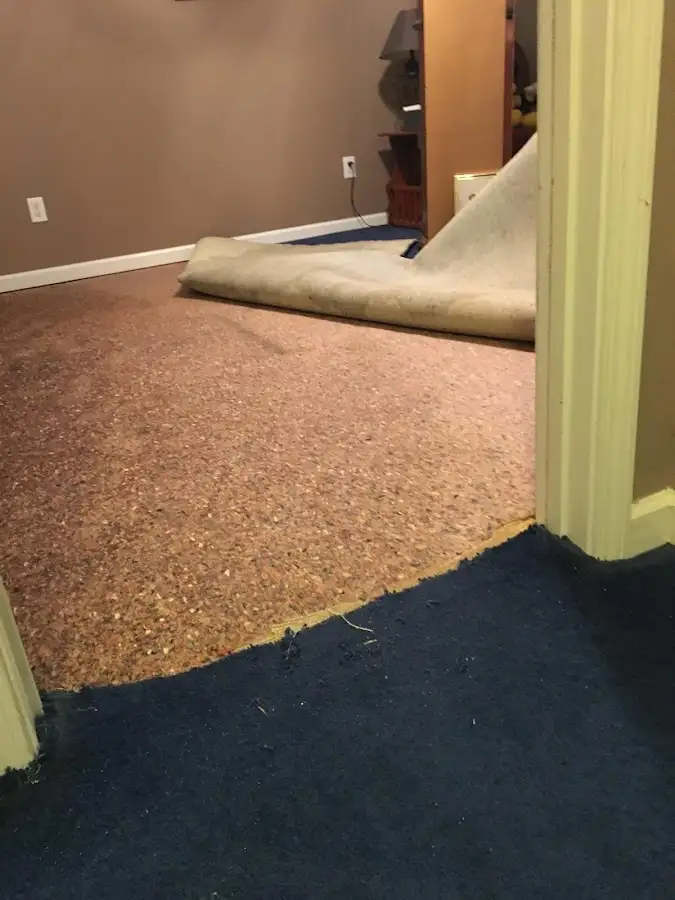 Carpet pad removal revealing water damage during Water Mitigation Services in Southfield