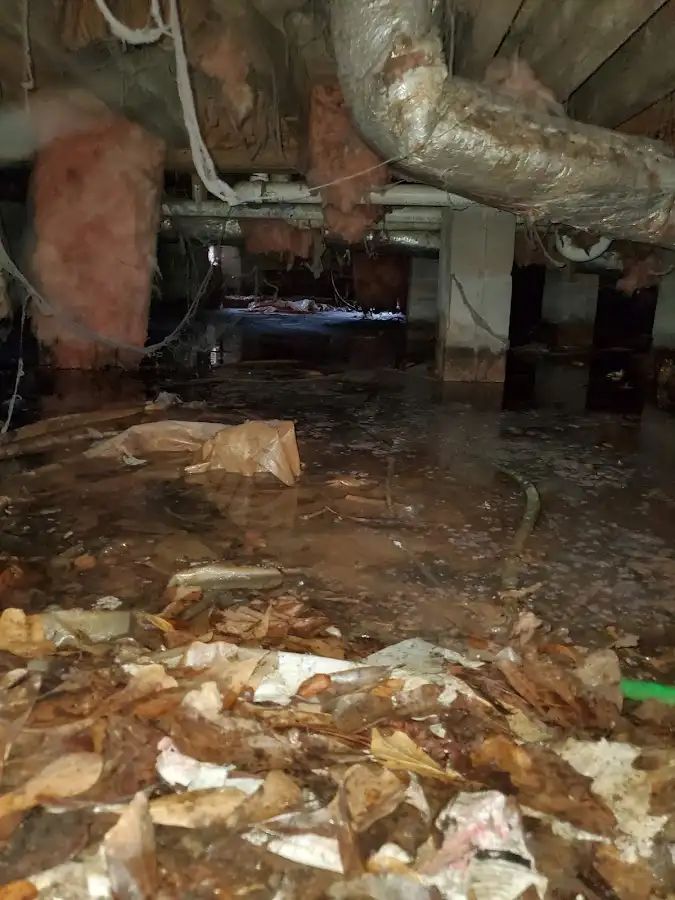 Crawl space flood assessment for Leak Detection & Repair in Southfield