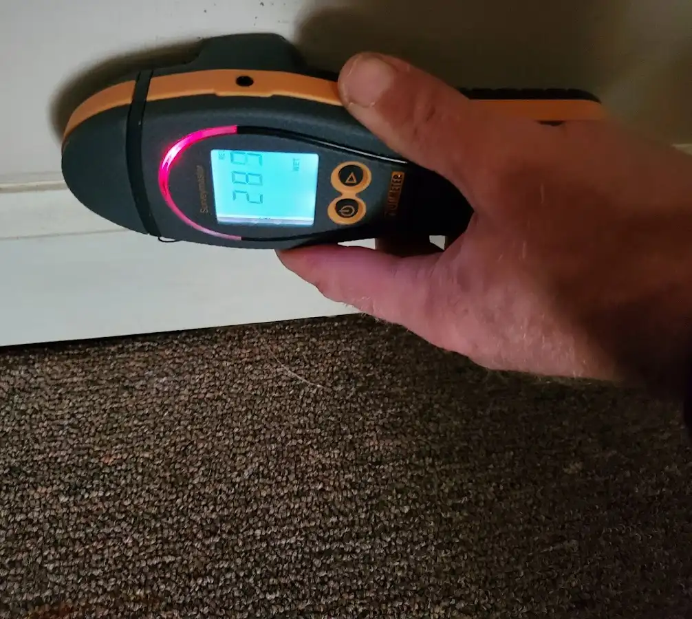 Moisture detection at baseboard during Sewage Cleanup & Sanitation in Southfield